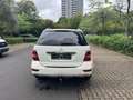 Mercedes-Benz ML 350 ML 350 CDI 4Matic (164.125) TÜV NEU Weiß - thumbnail 6