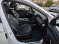 Hyundai TUCSON 1.6 Prime PHEV AWD Weiß - thumbnail 10