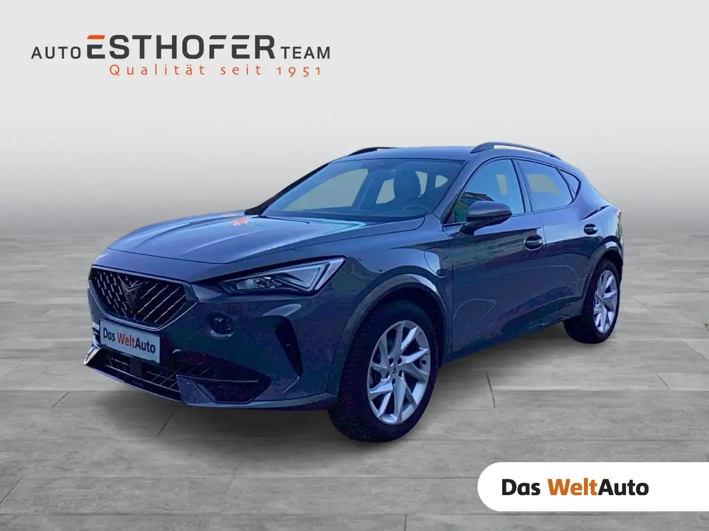 CUPRA Formentor TRIBE e-HYBRID 204 PS DSG Grau - 1