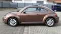 Volkswagen New Beetle Beetle Design/Panorama/Navi/Euro6/PDC Коричневий - thumbnail 2