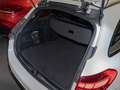 Mercedes-Benz C 300 d T AMG-Sport/DIGITAL/Pano/Night/Distr/19" Weiß - thumbnail 7