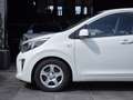 Kia Picanto 1.0 CVVT BTW AUTO|Airco|El Pakket|NAP|APK|5 DR Weiß - thumbnail 11