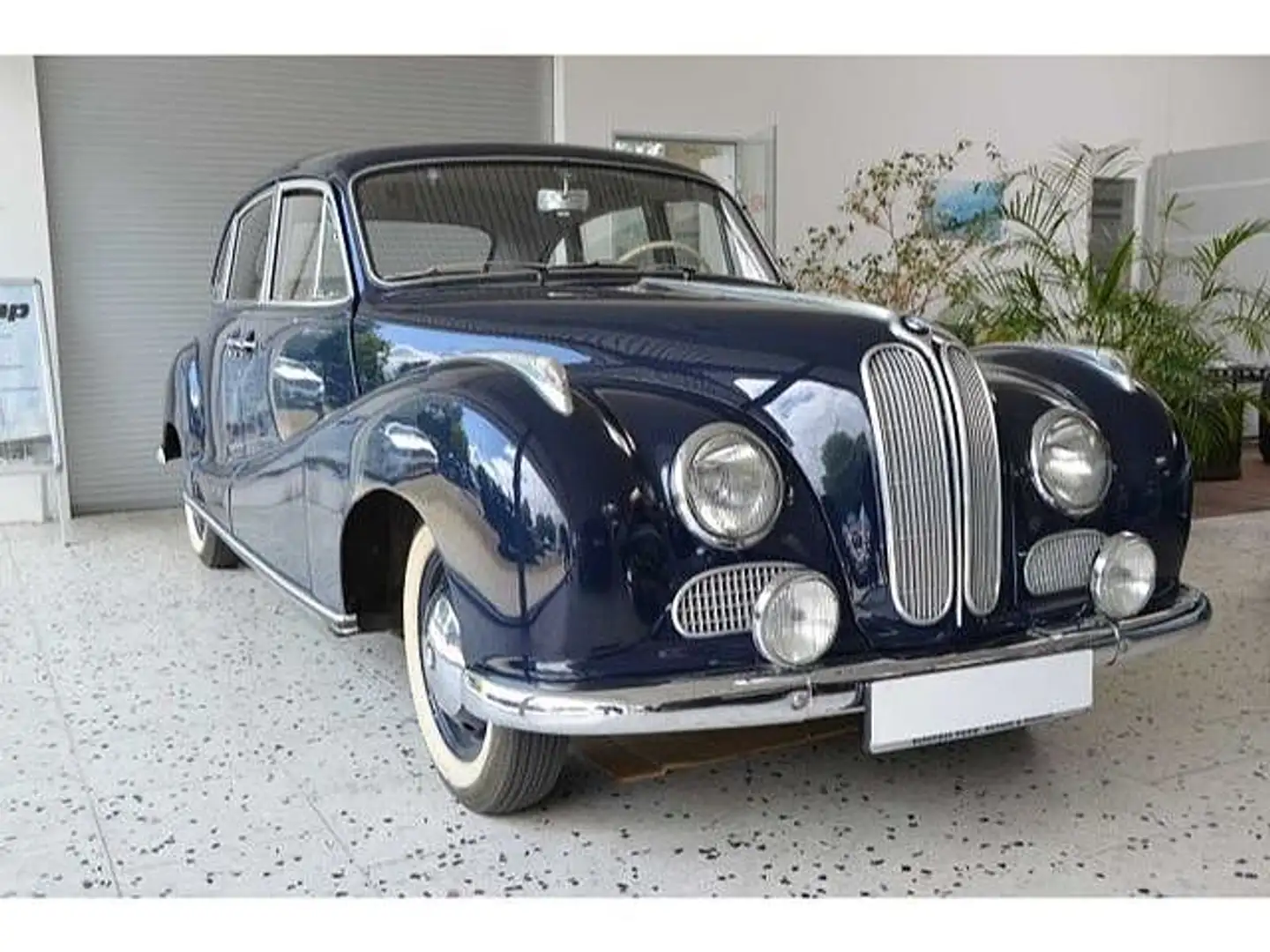 BMW 501 Barockengel Blau - 1