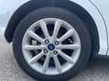 Ford B-Max 1.4 90 CV*Neopatentati* Bianco - thumbnail 8