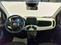 Fiat Panda Panda Cross 1.0 FireFly S&S Hybrid Nero - thumbnail 5