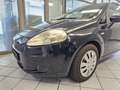 Fiat Punto ohne Tüv Albastru - thumbnail 14