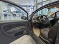 Fiat Punto ohne Tüv Albastru - thumbnail 12