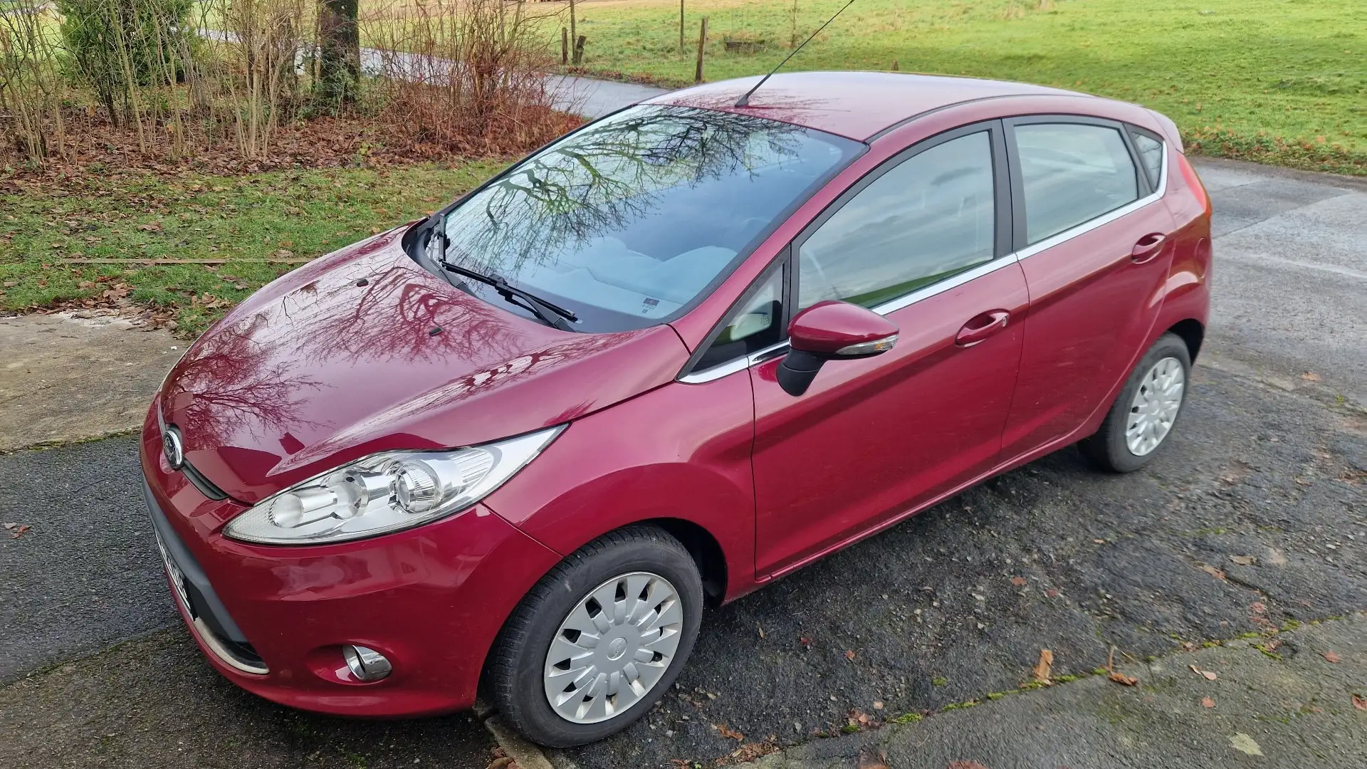 Ford Fiesta Fiesta 1.4 TDCi Titanium Violett - 1