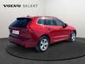Volvo XC60 B4 Core / Diesel Rood - thumbnail 2