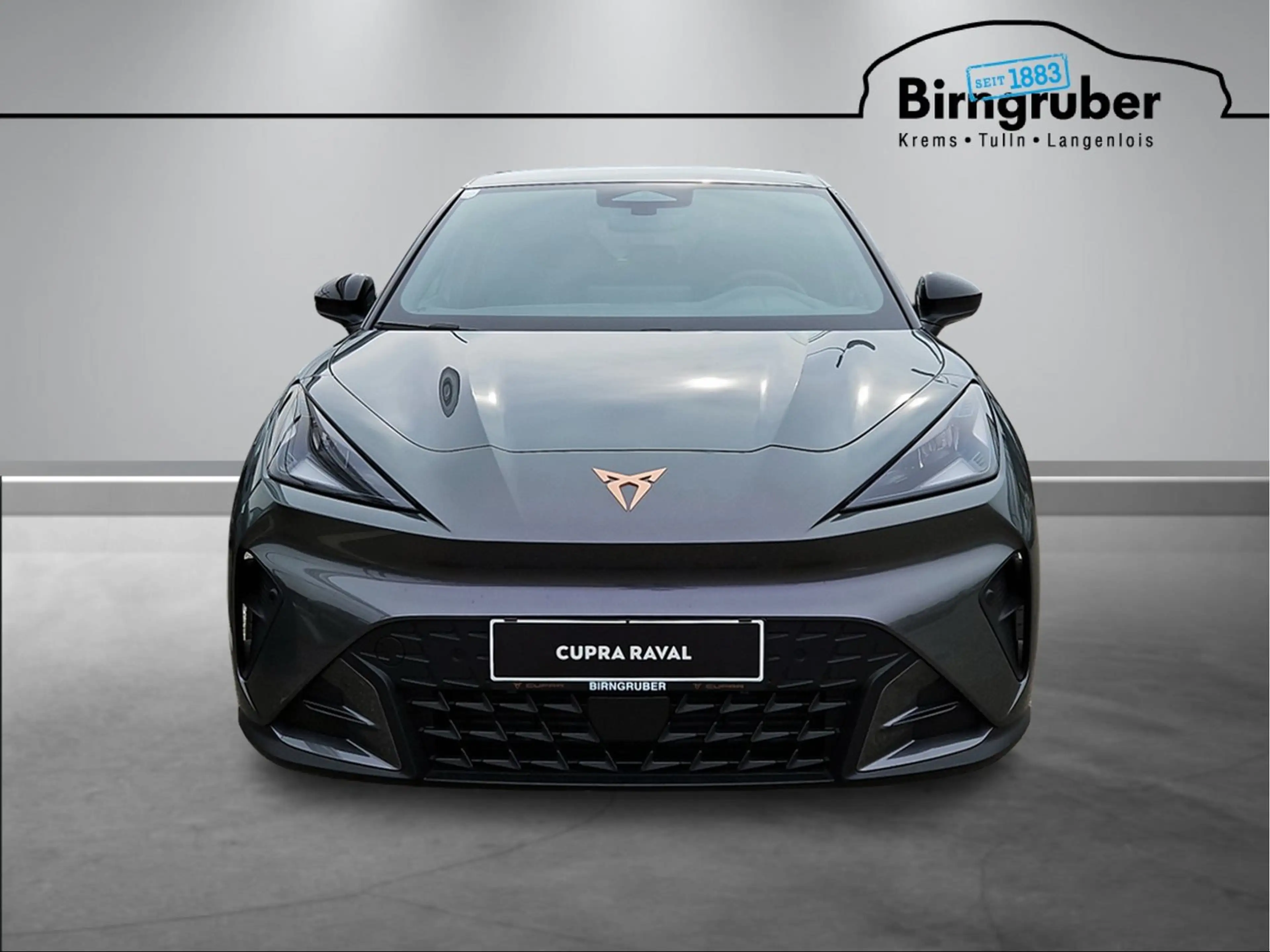 CUPRA Raval ENDURANCE 52/55 155kW/211 PS — photo 4