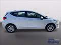 Ford Fiesta 1.1 75 CV 5 porte Titanium Grigio - thumbnail 4