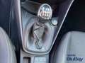 Ford Fiesta 1.1 75 CV 5 porte Titanium Grigio - thumbnail 25