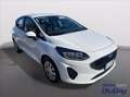 Ford Fiesta 1.1 75 CV 5 porte Titanium Grigio - thumbnail 3
