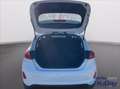 Ford Fiesta 1.1 75 CV 5 porte Titanium Grigio - thumbnail 18