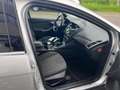Ford Focus 1.0 EcoBoost Titanium Gris - thumbnail 8