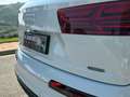 Audi Q7 3.0TDI sport quattro tiptronic 200kW Blanc - thumbnail 12