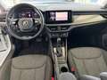 Skoda Kamiq Clever 1,0 TSI 81kW 7-Gang-DSG, Navi, Licht u. Sic Blanc - thumbnail 13