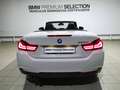 BMW 420 420dA Cabrio Wit - thumbnail 5