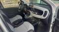 Fiat Panda Panda 1,2 69 Lounge Silber - thumbnail 8
