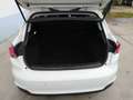Fiat Tipo 1.6 Mjt 5p Lounge Finanziato Bianco - thumbnail 14