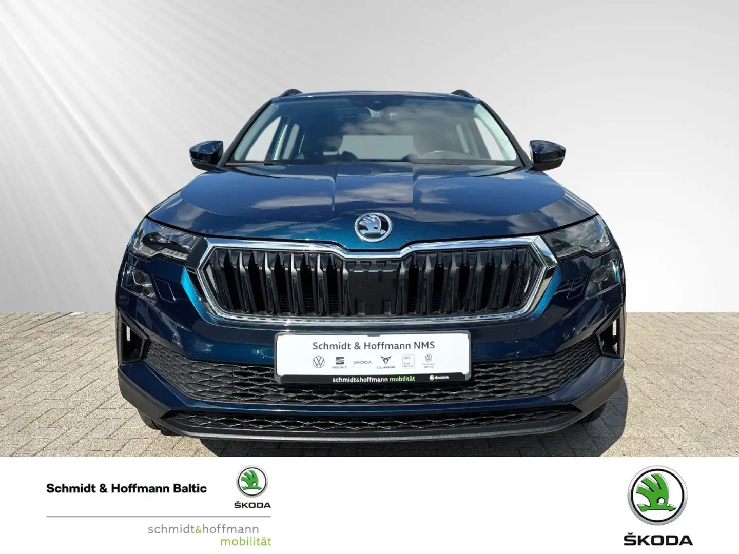 Skoda Karoq Tour 1.0 TSI Klima Einparkhilfe Panoramadach Blauw - 2