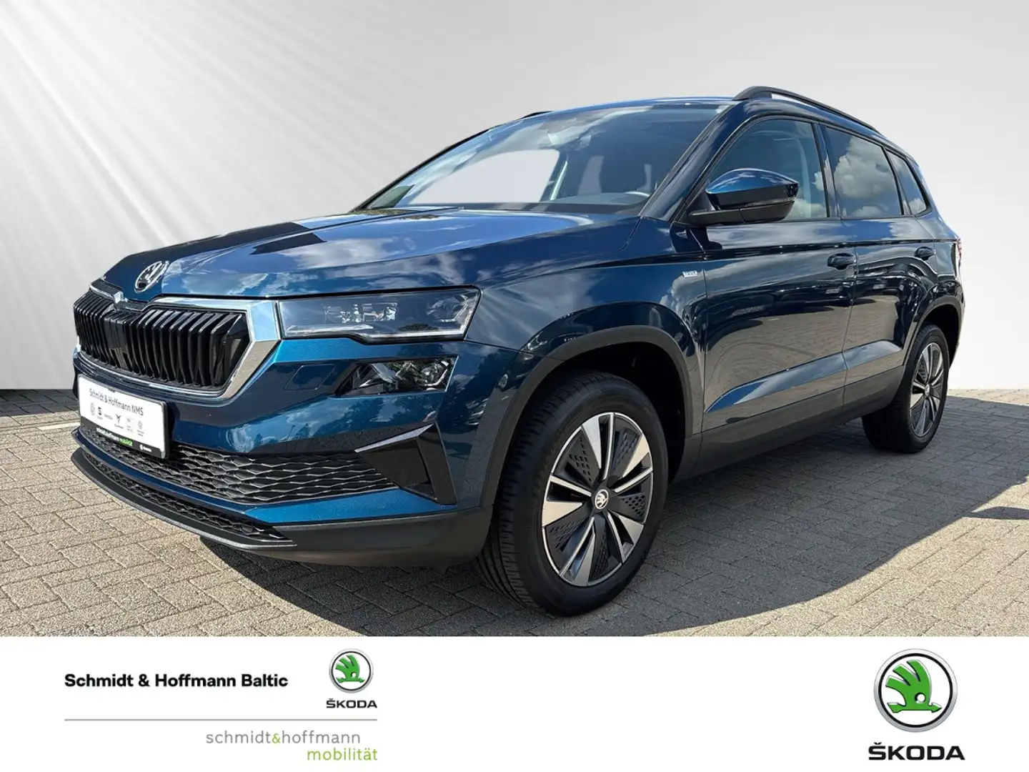 Skoda Karoq Tour 1.0 TSI Klima Einparkhilfe Panoramadach Blauw - 1