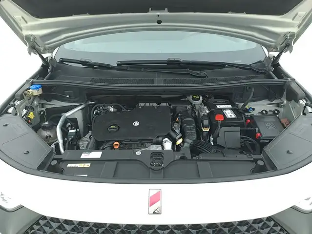 DS Automobiles DS 7 Crossback view 13
