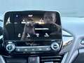 Ford Fiesta 1.5 tdci Titanium 85cv ADATTA NEOPATENTATI Rojo - thumbnail 12