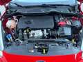 Ford Fiesta 1.5 tdci Titanium 85cv ADATTA NEOPATENTATI Rojo - thumbnail 19