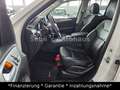 Mercedes-Benz GLE 350 d 4Matic|AHK|SHD|HeadUp|Leder|360Kamera Weiß - thumbnail 12