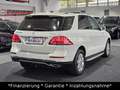 Mercedes-Benz GLE 350 d 4Matic|AHK|SHD|HeadUp|Leder|360Kamera Weiß - thumbnail 9