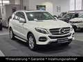 Mercedes-Benz GLE 350 d 4Matic|AHK|SHD|HeadUp|Leder|360Kamera Weiß - thumbnail 3