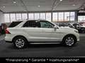 Mercedes-Benz GLE 350 d 4Matic|AHK|SHD|HeadUp|Leder|360Kamera Weiß - thumbnail 5
