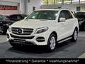 Mercedes-Benz GLE 350 d 4Matic|AHK|SHD|HeadUp|Leder|360Kamera Weiß - thumbnail 1