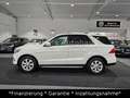 Mercedes-Benz GLE 350 d 4Matic|AHK|SHD|HeadUp|Leder|360Kamera Weiß - thumbnail 6