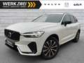Volvo XC60 B5 Plus Dark AWD ACC 360° Pano Google Weiß - thumbnail 1