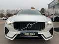 Volvo XC60 B5 Plus Dark AWD ACC 360° Pano Google Weiß - thumbnail 10