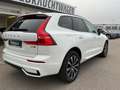 Volvo XC60 B5 Plus Dark AWD ACC 360° Pano Google Weiß - thumbnail 7
