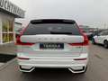 Volvo XC60 B5 Plus Dark AWD ACC 360° Pano Google Weiß - thumbnail 6