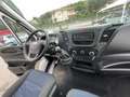 Iveco Daily Daily 35C12 2.3 Cass. Ribaltabile Dopp. Cab. Blanc - thumbnail 12