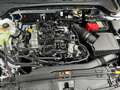 Ford Focus Titanium Turnier Winter P. e.Call Kamera Weiß - thumbnail 16
