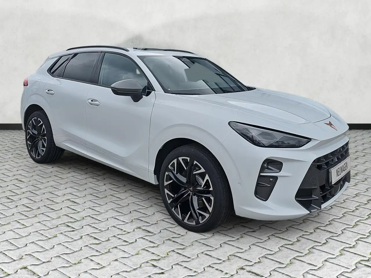 CUPRA Terramar 2.0 TSI 195 kW 4Drive VZ DSG Navi / AHK Pano 19...