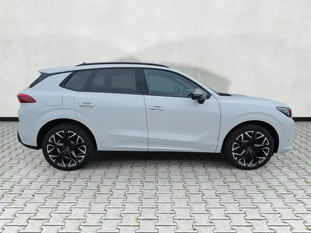 CUPRA Terramar 2.0 TSI 195 kW 4Drive VZ DSG Navi / AHK Pano 19... Ansicht 8