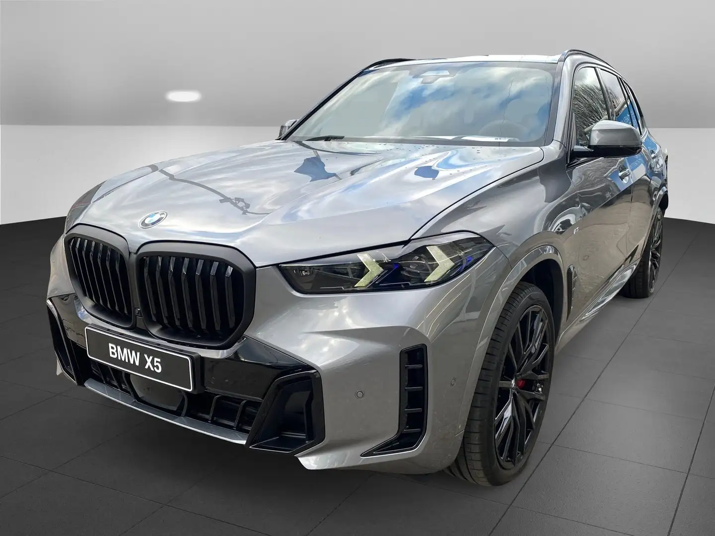 BMW X5 xDrive30d M Sportpaket Gestiksteuerung DAB Grau - 1