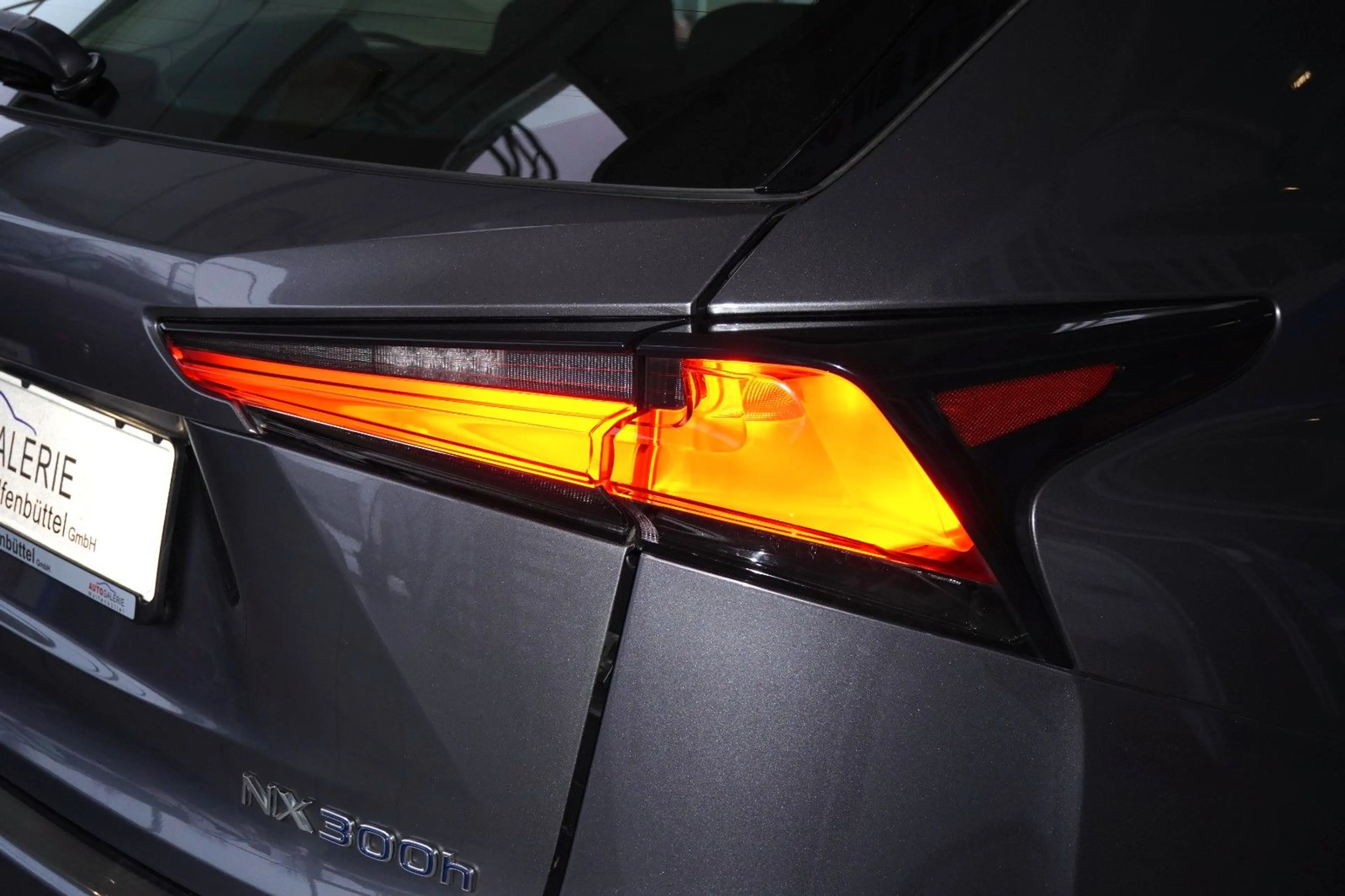 Lexus NX 300 h Amazing Edition AHK LED Kamera — photo 11
