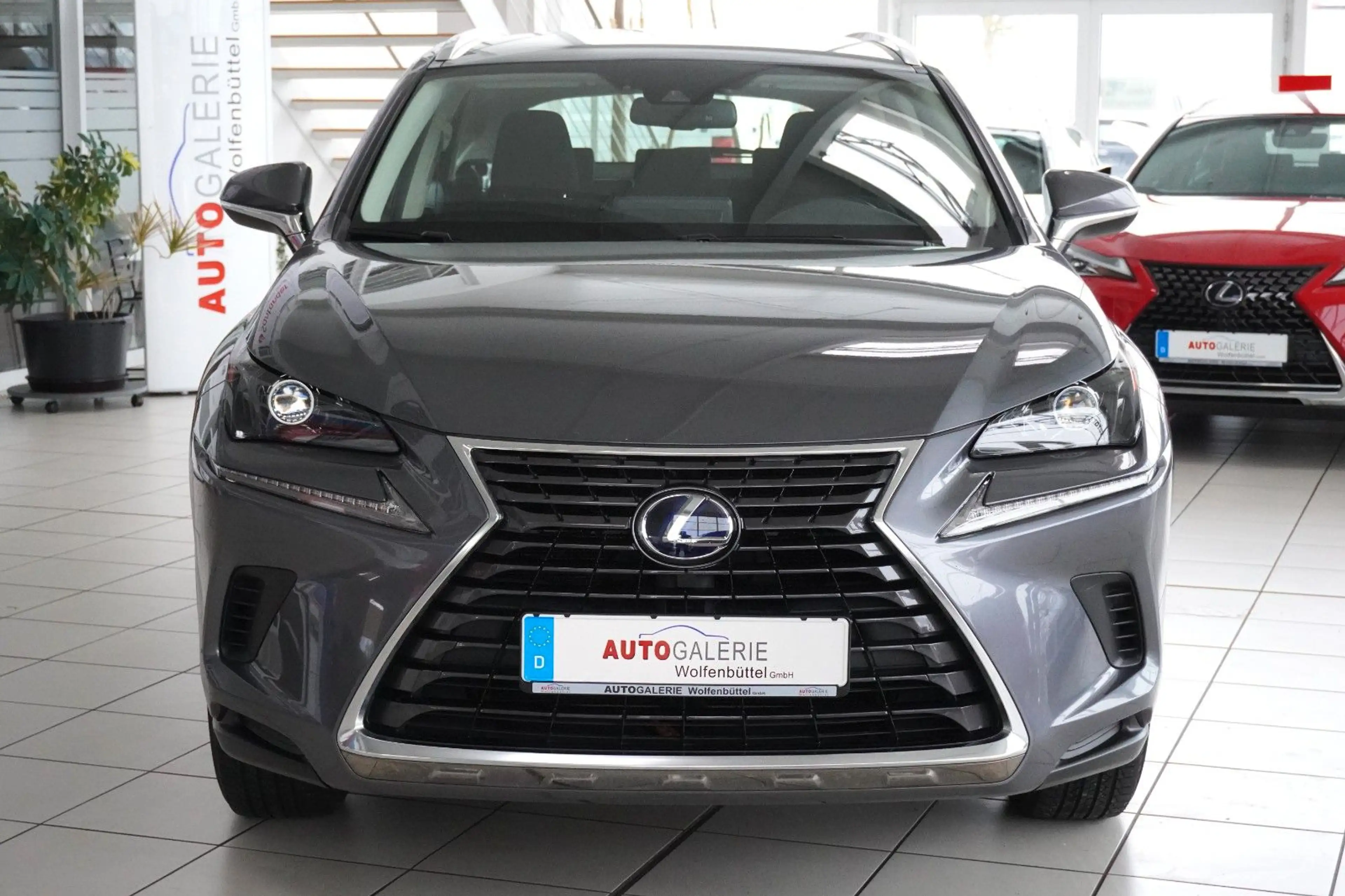 Lexus NX 300 h Amazing Edition AHK LED Kamera — photo 2