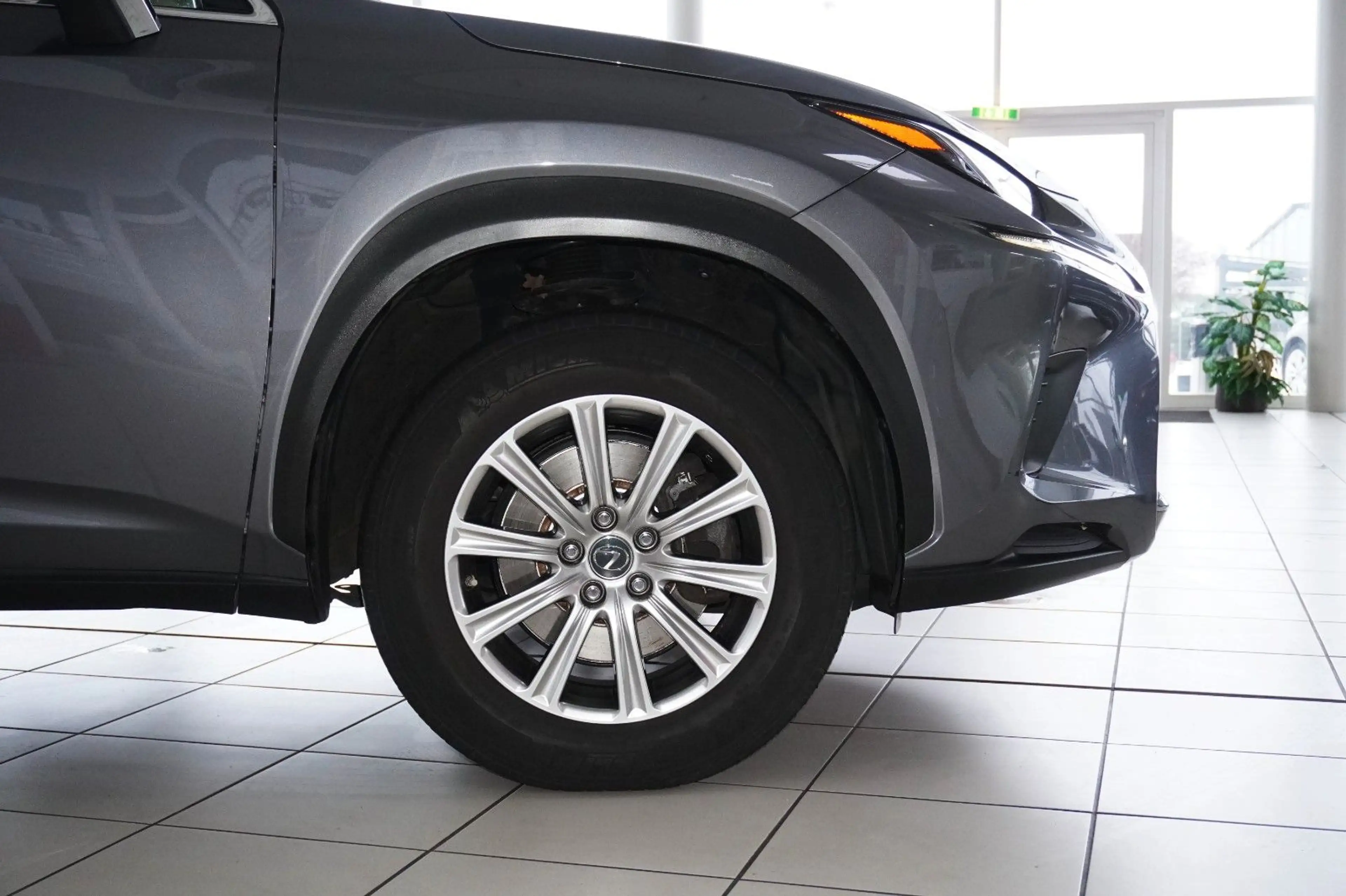 Lexus NX 300 h Amazing Edition AHK LED Kamera — photo 12