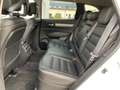 Renault Koleos Initiale Paris dCi 185 4WD BOSE+ACC+SHZ Weiß - thumbnail 11