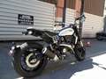 Ducati Scrambler Blanc - thumbnail 2