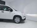 Fiat Panda 1.0 Gse Hybrid Bianco - thumbnail 14